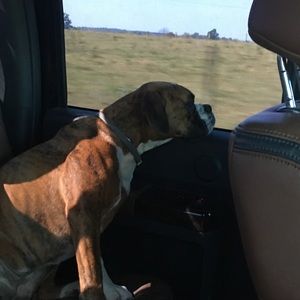 Meet your Posher, Blake